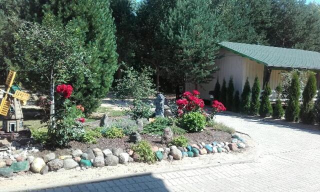 Mustvee Creek Cottage Kültér fotó